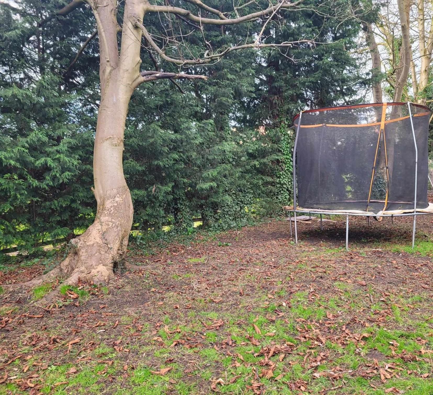 17Th-Century One Bed Studio With Parking & Garden! Elkesley Esterno foto